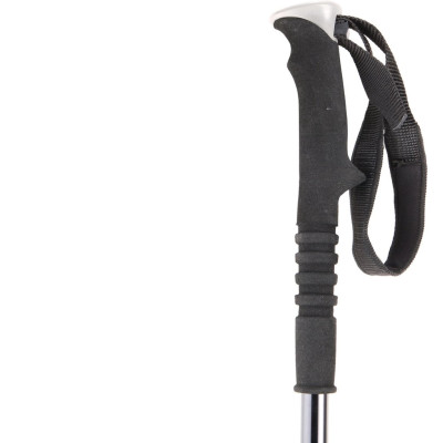 Trekking pole